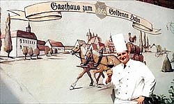 Goldener Hahn - Hotel und Restaurant Goldener Hahn - Hotel und Restaurant