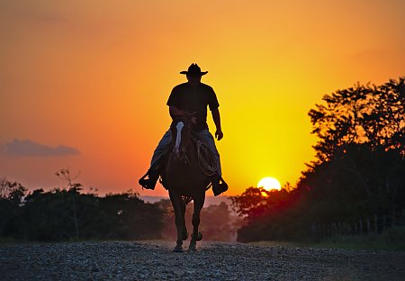 Cowboys an der F60, © F60/ Pixabuy