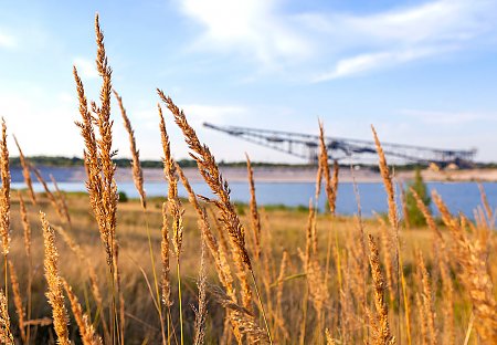 F60-Lichterfeld, © Andreas Franke