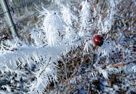 F60-Lichterfeld-Winter, © F60/ KatharinaGurk